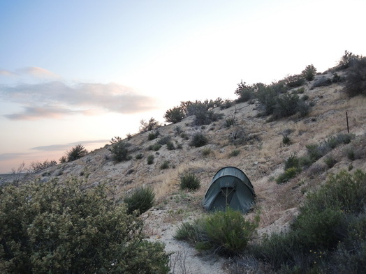 Mojave Desert Camp Morning 