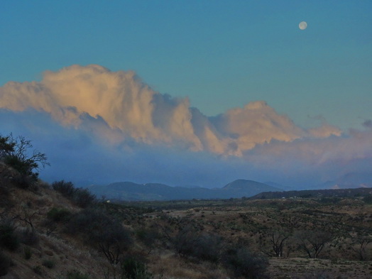 Mojave Desert Morning